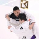 본주짓수고잔
