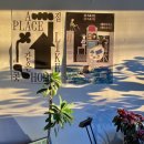 동문동537 이미지