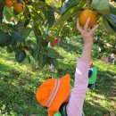 광제산영농조합법인 이미지