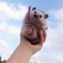 가양테크노타운매점 | 브라운아이드소울 콘서트 후기 ㅣ고척돔 근처 주차 찐꿀팁(모두의주차장X) + 준비물·복장 총정리