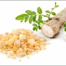 유향약국 이미지