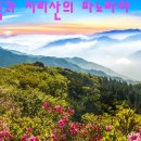 큰고리봉 Daum카페