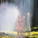 베니스 비엔날레 2024 후기 - 독일관 국가관 (Giardini)
