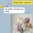 댕구르미 이미지