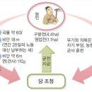 당9나라 이미지