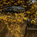 명동사우나 이미지