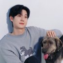 페이블 카카오 검색결과