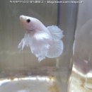 (주)투비에이 이미지