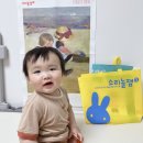 9개월 아기 누리과정 책육아 블루래빗 소리놀잼 오감 책놀이
