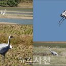 ㈜대진환경 이미지