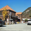 행복하 개 | 대전 근교 글램핑 계룡산 파크오브드림 후기 ! 고양이가 먼저 맞이해주는 행복 캠핑