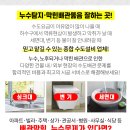 태능성심의원 이미지