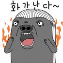 루미핏