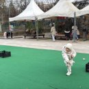 퍼스트가든 동물카페 이미지