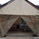 자일랜드 이미지