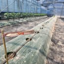 봉우농장 이미지