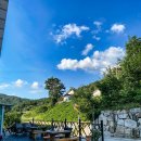 문막오크카운티 이미지