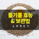 들기름 효능과 보관법 이미지