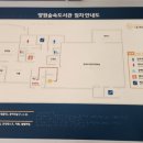 사근동어린이놀이터도서관 | 무료 물놀이 가능한 곳 추천_중랑캠핑숲 어린이 물놀이 놀이터, 양원숲속도서관 이용 후기(완벽한 하루)