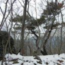 대림생수 이미지