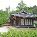 담장너머로뻗은나무 | 강릉 갈만한곳 6월 푸른 정취 가득 허균 허난설헌 기념공원