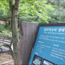 달마약수터 이미지