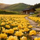 김유정 5월에 산골 이미지