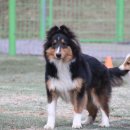 이지스힐 이미지