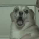 복권목장 이미지