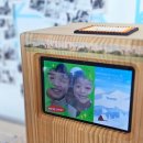 푸른나무 태권도 | 밀양 아이와 가볼만한곳 🌿 네이처 에코리움 미디어아트&amp;놀이터 완벽 후기