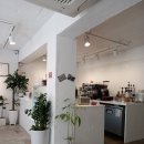 아씨다방 이미지