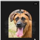 이금이농장 이미지