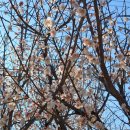 청도강변돌고래펜션 이미지