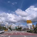 (주)핑거아이즈 | 7월 일기(출근룩, 콩국수 투어)