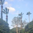 소노캄 제주 이스트타워 이미지