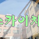 스카이진 이미지