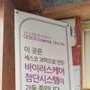 다무까 이미지