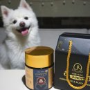 금산홍삼사료 이미지