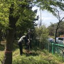 대한민국 상이군경회 북구지회 이미지