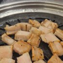 제주청년돼지 이미지