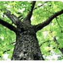 경안고등학교 이미지