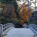 청암교 옆 이미지