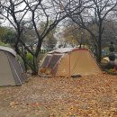 성장농원 이미지