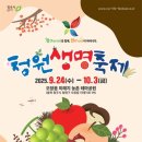 1312 이미지