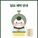 봄날세탁 이미지