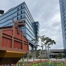 스위트드림빌 | 거제한달살기, 거제로컬크리에이터 9일차 (feat. 칵테일 만드는 건 처음이지?)