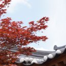 목재고택 | 경주한옥숙소 온돌방 한옥 효우당 | 600년 종가 고택 효도여행 후기