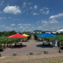 연꽃테마파크 방문자 센터 이미지