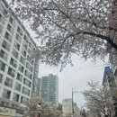 경동나비엔문경 | 문경 신원아침도시 보일러 각방 온도조절기 지멘스에서 경동나비엔으로 교체 후기