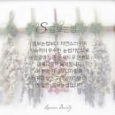 리앤나뷰티 이미지